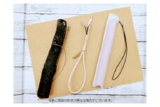 植物発電実験キット N-Energy | 自由研究 実験 学習 夏休み 発電 自然エネルギー クリーンエネルギー SDGs 備長炭 株式会社ニソール 埼玉県 狭山市