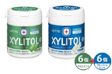 ロッテ キシリトールガム ライムミント フレッシュミント 12個セット | ガム キシリトール ライム ミント 虫歯予防 歯ぐきケア お菓子 おやつ 特定保健用食品 LOTTE 株式会社ロッテ 埼玉県 狭山市