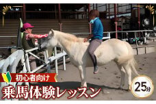 乗馬 体験 レッスン チケット 25分 | 馬 うま 乗馬 体験 レッスン 初心者 自然 シエナ乗馬クラブ 埼玉県 狭山市
