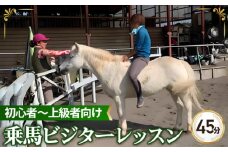 乗馬 ビジター レッスン チケット 45分×3回まで | 馬 うま 乗馬 体験 レッスン 自然 シエナ乗馬クラブ 埼玉県 狭山市