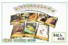eigot trading card 80枚 | カード カードゲーム トレーディングカード 英語 えいご エイゴ eigo 学習 英単語 勉強 ゲーム 子供 大人 有限会社アイ電気 埼玉県 狭山市