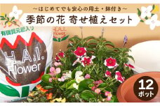 寄せ植え 花 季節のお花 12ポット 用土 鉢 付き ガーデニング プレゼント 育成セット 日用品 園芸 花苗 おすすめ セット 母の日 季節 お花 贈り物 農事組合法人ハイフラワー 埼玉県 羽生市