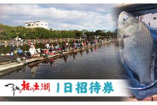 釣り 体験 つり処椎の木湖 1日ご招待券 へら鮒 フィッシング スポーツ アウトドア 体験 チケット 観光 旅行