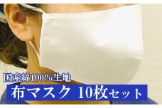 布マスク　１０枚セット