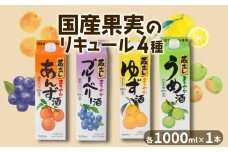 リキュール 4本 セット 果実酒 飲み比べ 大人買い 梅 ゆず ブルーベリー あんず プレゼント 女子会 デザート酒 お歳暮 蔵出し