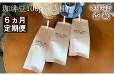 定期便 6回 コーヒー  豆 100g 3種類 毎月お届け おまかせ バラエティー セット 