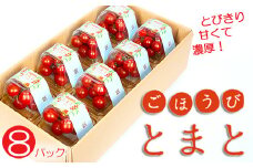 【予約受付】トマト 高糖度 甘い 8パック 小分け フルーツトマト ミニトマト 野菜 果物 産地直送 とれたて 濃厚 アンチエイジング 生活習慣病予防 ごほうびとまと 株式会社風の子ファーム 埼玉県 羽生市