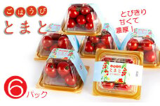 【予約受付】トマト 高糖度 甘い 6パック 小分け フルーツトマト ミニトマト 野菜 果物 産地直送 とれたて 濃厚 アンチエイジング 生活習慣病予防 ごほうびとまと 株式会社風の子ファーム 埼玉県 羽生市