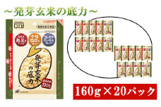 発芽 玄米 3.2kg パックごはん 20パック 機能性表示食品 生活習慣病 ケア 高血圧 中性脂肪 コレステロール 対策 健康 小分け パウチ レトルト 発芽玄米の底力 160g×20パック 埼玉県 羽生市