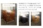 個の返礼品のカラーはブラウンウォッシュとなります