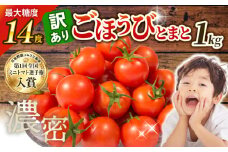 【予約受付】訳あり トマト 高糖度 甘い 1kg フルーツトマト ミニトマト 野菜 果物 濃厚 産地直送 とれたて 徳用 大きさ不揃い アンチエイジング 生活習慣病予防 ごほうびとまと 株式会社風の子ファーム 埼玉県 羽生市