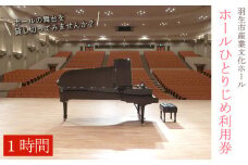 羽生市 産業文化 ホール ホールひとりじめ利用券 【※お1人様2枚まで】体験 舞台貸し切り券 日時 限定 