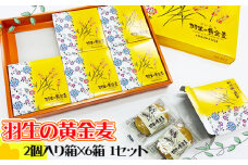 スイーツ 焼き菓子 さいたま羽生の黄金麦 ２個入り箱×６箱 １セット スイーツ 洋菓子 食品 ギフト 手土産 誕生日 御歳暮 ギフト プレゼント 差し入れ お菓子