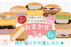 訳あり 定期便 6回 アイス もなか 3種 食べ比べ 14個 × 6回 計84個 個包装 手作り 卵 保存料 不使用 ミルク あずき カフェオレ 黒ごま 濃厚チョコ いちごみるく レアチーズ 黒糖 スイーツ デザート 小分け ギフト プレゼント モア松屋 埼玉県 羽生市