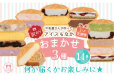 訳あり 定期便 3回 アイス もなか 3種 食べ比べ 14個 × 3回 計42個 個包装 手作り 卵 保存料 不使用 ミルク あずき カフェオレ 黒ごま 濃厚チョコ いちごみるく レアチーズ 黒糖 スイーツ デザート 小分け ギフト プレゼント モア松屋 埼玉県 羽生市