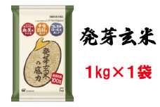 発芽 玄米 1kg 国産 機能性表示食品 ドライ米 生活習慣病 ケア 高血圧 中性脂肪 コレステロール 健康 肥満予防 発芽玄米の底力 ドライ米タイプ 彩のかがやき 埼玉県 ブランド米 1kg×1袋 埼玉県 羽生市