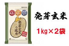 発芽 玄米 2kg 国産 機能性表示食品 ドライ米 生活習慣病 ケア 高血圧 中性脂肪 コレステロール 健康 肥満予防 発芽玄米の底力 ドライ米タイプ 彩のかがやき 埼玉県 ブランド米 1kg×2袋 埼玉県 羽生市