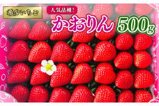 30個限定 かおりん DXパック 500g 採れたて 新鮮いちご 2パック いちご 苺 ストロベリー ご当地 果物 くだもの フルーツ デザート 食品 冷蔵 ロコファーム 埼玉県 羽生市