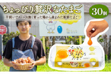 こだわり たまご 30個 (10個×3パック) 新鮮 平飼い 卵 埼玉県 羽生市 送料無料