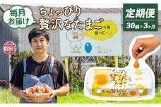 【定期便3回】こだわり たまご 30個 (10個×3パック) 新鮮 平飼い 卵 埼玉県 羽生市 送料無料