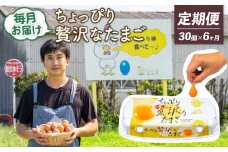 【定期便6回】こだわり たまご 30個 (10個×3パック) 新鮮 平飼い 卵 埼玉県 羽生市 送料無料