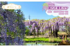 麗Yer's 『羽生市藤の花 』撮影ロケ 2024年4月開催 4月20日～22日、27日開催 イベント コスプレ 体験 チケット