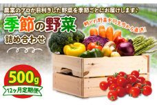定期便 季節 野菜 詰め合わせ 500g 12ヶ月 連続お届け 果物 産地直送 朝どれ フルーツトマト ほうれんそう 白菜 キャベツ ブロッコリー そら豆 ヤングコーン とうもろこし 枝豆 ピーマン 唐辛子 パプリカ 水 ナス オクラ キュウリ カリフローレ とれたて  濃厚 ごほうびとまと 株式会社風の子ファーム 埼玉県 羽生市