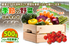 定期便 季節 野菜 詰め合わせ 500g 6ヶ月 連続お届け 果物 産地直送 朝どれ フルーツトマト ほうれんそう 白菜 キャベツ ブロッコリー そら豆 ヤングコーン とうもろこし 枝豆 ピーマン 唐辛子 パプリカ 水 ナス オクラ キュウリ カリフローレ とれたて  濃厚 ごほうびとまと 株式会社風の子ファーム 埼玉県 羽生市