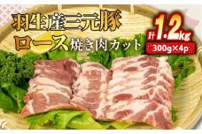 ロース 焼き肉 カット 1.2kg ( 300g × 4P） 国産 三元豚 冷凍 真空 小分け 個包装 たっぷり 大容量 大きめ 厚切り 豚肉 豚 ブタ ポーク ジューシー お弁当 おかず 惣菜 晩ごはん 贅沢 ギフト お中元 御中元 贈り物 贈答 埼玉県 羽生市
