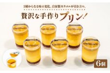 プリン 6個 セット 冷凍 手作り 冷凍スイーツ 冷凍デザート スイーツ デザート ぷりんプリン ウィンズ・アーク 埼玉県 羽生市