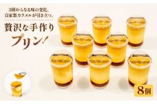プリン 8個 セット 冷凍 手作り 冷凍スイーツ 冷凍デザート スイーツ デザート ぷりんプリン ウィンズ・アーク 埼玉県 羽生市
