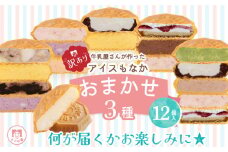 訳あり アイス もなか 3種 食べ比べ 12個 個包装 手作り 卵 保存料 不使用 ミルク あずき カフェオレ 黒ごま 濃厚チョコ いちごみるく レアチーズ 黒糖 スイーツ デザート 小分け ギフト プレゼント モア松屋 埼玉県 羽生市
