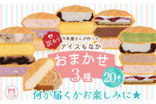 訳あり アイス もなか 3種 食べ比べ 20個 個包装 手作り 卵 保存料 不使用 ミルク あずき カフェオレ 黒ごま 濃厚チョコ いちごみるく レアチーズ 黒糖 スイーツ デザート 小分け ギフト プレゼント モア松屋 埼玉県 羽生市