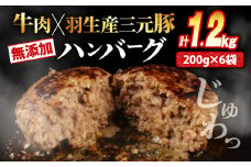 ハンバーグ 1.2kg 牛肉 豚肉 合挽き 冷凍 小分け 真空 個包装 大容量 大きめ 肉汁 たっぷり 保存料 不使用 無添加 淡路島 玉ねぎ ビーフ ポーク 牛 豚 肉 合いびき肉 挽肉 お弁当 おかず 惣菜 晩ごはん おつまみ お取り寄せ ごはんのお供 贅沢 ギフト お中元 お歳暮 贈り物 贈答