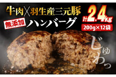 ハンバーグ 2.4kg 牛肉 豚肉 合挽き 冷凍 小分け 真空 個包装 大容量 大きめ 肉汁 たっぷり 保存料 不使用 無添加 淡路島 玉ねぎ ビーフ ポーク 牛 豚 肉 合いびき肉 挽肉 お弁当 おかず 惣菜 晩ごはん おつまみ お取り寄せ ごはんのお供 贅沢 ギフト お中元 お歳暮 贈り物 贈答