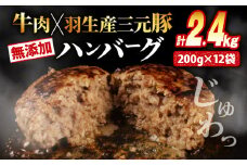 ハンバーグ 2.4kg 牛肉 豚肉 合挽き 冷凍 小分け 真空 個包装 大容量 大きめ 肉汁 たっぷり 保存料 不使用 無添加 淡路島 玉ねぎ ビーフ ポーク 牛 豚 肉 合いびき肉 挽肉 お弁当 おかず 惣菜 晩ごはん おつまみ お取り寄せ ごはんのお供 贅沢 ギフト お中元 お歳暮 贈り物 贈答