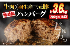 ハンバーグ 3.6kg 牛肉 豚肉 合挽き 冷凍 小分け 真空 個包装 大容量 大きめ 肉汁 たっぷり 保存料 不使用 無添加 淡路島 玉ねぎ ビーフ ポーク 牛 豚 肉 合いびき肉 挽肉 お弁当 おかず 惣菜 晩ごはん おつまみ お取り寄せ ごはんのお供 贅沢 ギフト お中元 お歳暮 贈り物 贈答