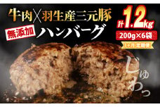 【定期便】 3回 ハンバーグ 1.2kg 計3.6kg 牛肉 豚肉 合挽き 冷凍 小分け 真空 個包装 大容量 大きめ 肉汁 たっぷり 保存料 不使用 無添加 淡路島 玉ねぎ ビーフ ポーク 牛 豚 肉 合いびき肉 挽肉 お弁当 おかず 惣菜 晩ごはん おつまみ お取り寄せ ごはんのお供 贅沢 ギフト お中元 お歳暮 贈り物 贈答