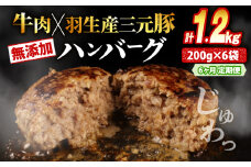 【定期便】 6回 ハンバーグ 1.2kg 計7.2kg 牛肉 豚肉 合挽き 冷凍 小分け 真空 個包装 大容量 大きめ 肉汁 たっぷり 保存料 不使用 無添加 淡路島 玉ねぎ ビーフ ポーク 牛 豚 肉 合いびき肉 挽肉 お弁当 おかず 惣菜 晩ごはん おつまみ お取り寄せ ごはんのお供 贅沢 ギフト お中元 お歳暮 贈り物 贈答
