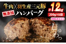 【定期便】 12回 ハンバーグ 1.2kg 計14.4kg 牛肉 豚肉 合挽き 冷凍 小分け 真空 個包装 大容量 大きめ 肉汁 たっぷり 保存料 不使用 無添加 淡路島 玉ねぎ ビーフ ポーク 牛 豚 肉 合いびき肉 挽肉 お弁当 おかず 惣菜 晩ごはん おつまみ お取り寄せ ごはんのお供 贅沢 ギフト お中元 お歳暮 贈り物 贈答