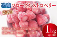 訳あり 冷凍 いちご 1kg フローズン ストロベリー 産地直送 ご当地 苺 果物 くだもの フルーツ デザート よつぼし 紅ほっぺ かおり野 恋みのり おいCベリー 食品 げんき農場 埼玉県 羽生市