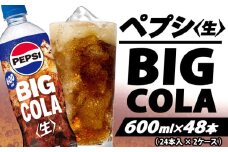 ペプシ コーラ 生 600ml 48本 （24本入 × 2ケース） pepsi 常温 ペットボトル サントリー 炭酸 炭酸飲料 常備 飲料 ジュース 箱 ペプシBIG＜生＞ 入山乾商店 埼玉県 羽生市