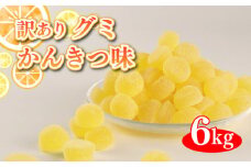 訳あり グミ 柑橘味 6kg × 1袋 フルーツ 果物 柑橘 約1200粒 ニューサマーグミ 菓子 お菓子 駄菓子 おやつ 果物グミ ぐみ 徳用 埼玉県 羽生市
