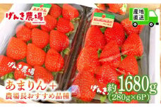 【事前受付】いちご あまりん +農場長おすすめ品種 1680g (280g×6P)  苺 食べ比べ イチゴ ストロベリー 産地直送 ご当地 果物 くだもの フルーツ デザート 食品 冷蔵 げんき農場 埼玉県 羽生市