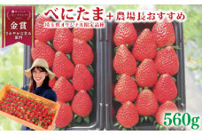 【事前受付】 いちご べにたま +農場長おすすめ品種 560g (280g×2P)  苺 食べ比べ イチゴ ストロベリー 産地直送 ご当地 果物 くだもの フルーツ デザート 食品 冷蔵 げんき農場 埼玉県 羽生市