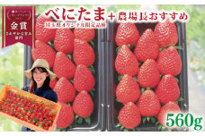 【事前受付】 いちご べにたま +農場長おすすめ品種 560g (280g×2P)  苺 食べ比べ イチゴ ストロベリー 産地直送 ご当地 果物 くだもの フルーツ デザート 食品 冷蔵 げんき農場 埼玉県 羽生市