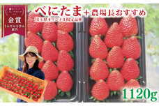 【事前受付】いちご べにたま +農場長おすすめ品種 1120g (280g×4P)  苺 食べ比べ イチゴ ストロベリー 産地直送 ご当地 果物 くだもの フルーツ デザート 食品 冷蔵 げんき農場 埼玉県 羽生市