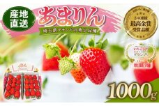 【予約】あまりん 1kg 全国いちご選手権 3年連続最高金賞 (250g×4P) いちご 苺 ストロベリー 産地直送 ご当地 果物 くだもの フルーツ デザート 食品 冷蔵 ロコファーム 埼玉県 羽生市