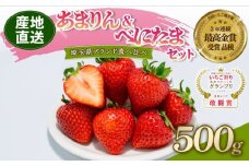 【予約】 あまりん べにたま 食べ比べ セット 500g いちご 苺 ストロベリー 産地直送 ご当地 果物 くだもの フルーツ デザート 食品 冷蔵 ロコファーム 埼玉県 羽生市