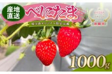 【予約】 べにたま 埼玉限定品種 1000g いちご イチゴ 苺 ストロベリー 産地直送 ご当地 果物 くだもの フルーツ デザート 食品 スイーツ 冷蔵 ロコファーム 埼玉県 羽生市
